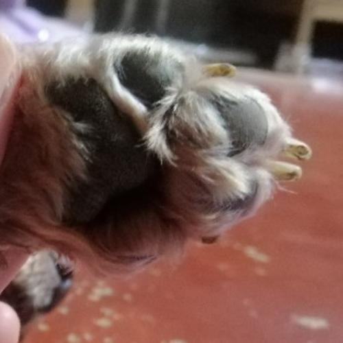 สมาชิกหมายเลข 6409578