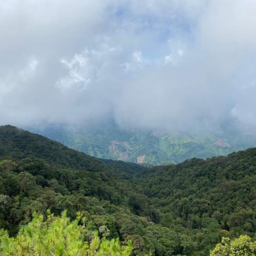 สมาชิกหมายเลข 2181846