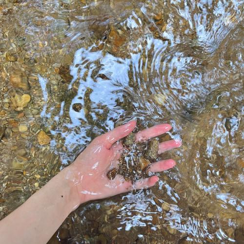 สมาชิกหมายเลข 4507738