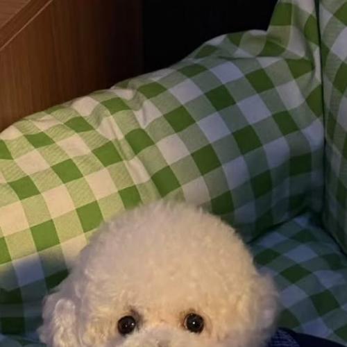 สมาชิกหมายเลข 8137781