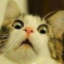 สมาชิกหมายเลข 1257759