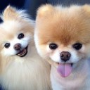 สมาชิกหมายเลข 2456671