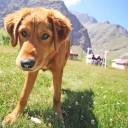 สมาชิกหมายเลข 3205512