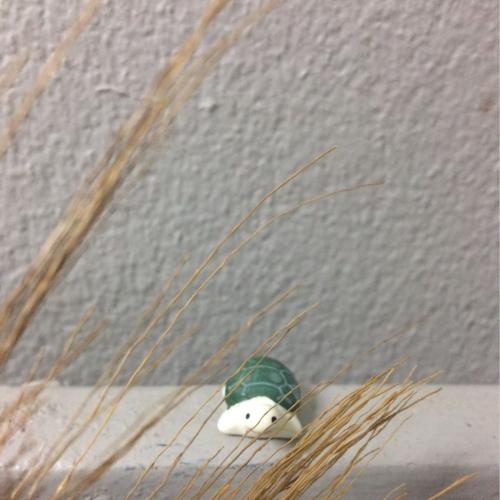 สมาชิกหมายเลข 922773