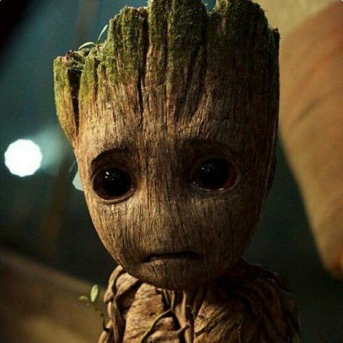 สมาชิกหมายเลข 4614463