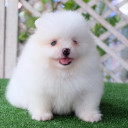 สมาชิกหมายเลข 5364892