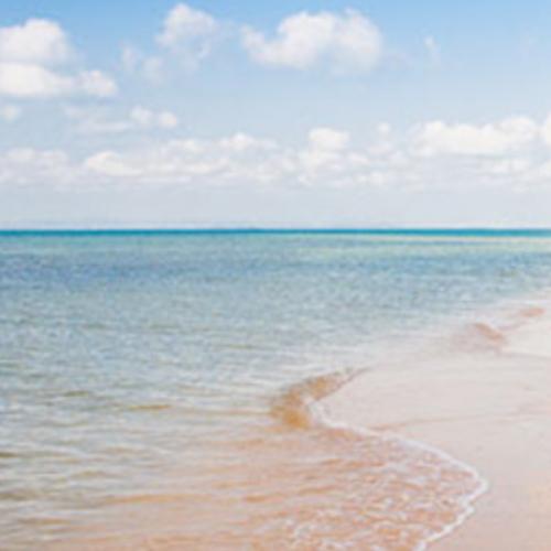 สมาชิกหมายเลข 3405868