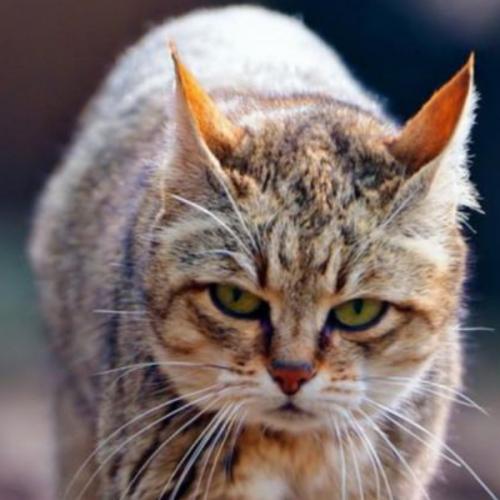 สมาชิกหมายเลข 5828496