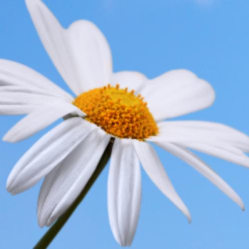 สมาชิกหมายเลข 1245598