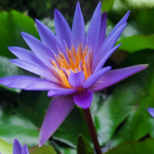 สมาชิกหมายเลข 4104870