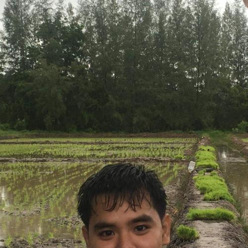 สมาชิกหมายเลข 5368797