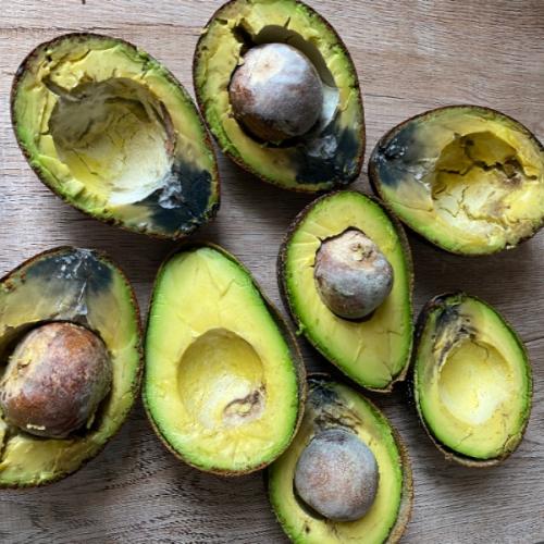 สมาชิกหมายเลข 7154744