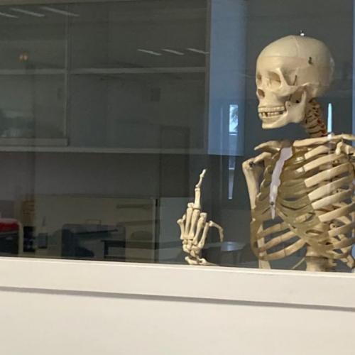 สมาชิกหมายเลข 7155061