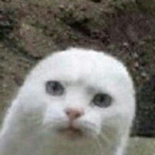 สมาชิกหมายเลข 7155065