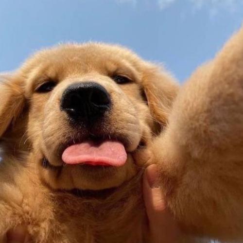 สมาชิกหมายเลข 7946081