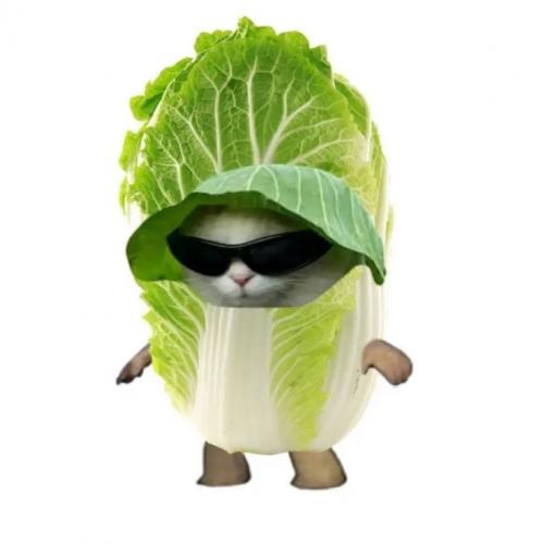 สมาชิกหมายเลข 8972828