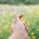 สมาชิกหมายเลข 2356613