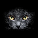 สมาชิกหมายเลข 3758399