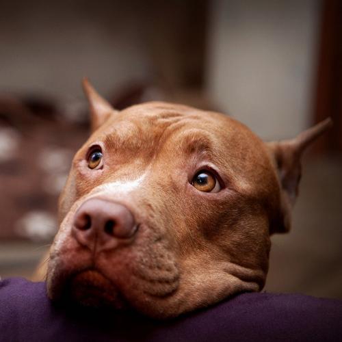 สมาชิกหมายเลข 4614446