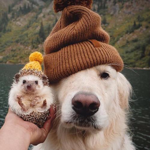 สมาชิกหมายเลข 3895021