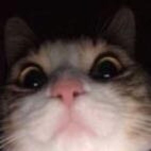 สมาชิกหมายเลข 5790213