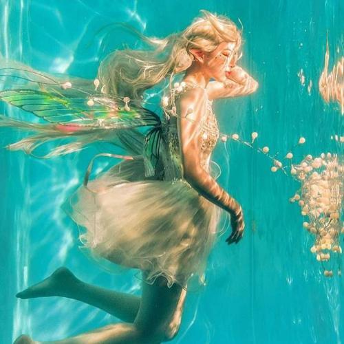 สมาชิกหมายเลข 5852932