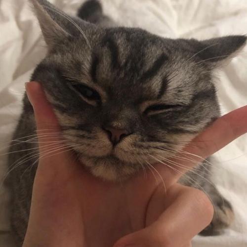 สมาชิกหมายเลข 5853193