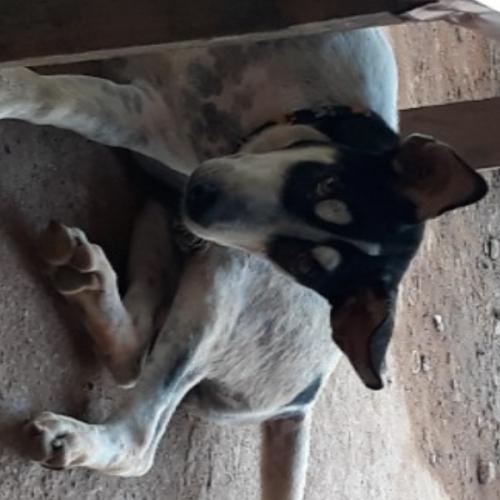 สมาชิกหมายเลข 2491512