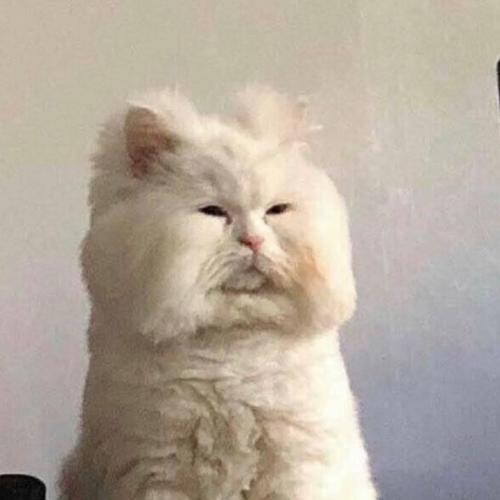 สมาชิกหมายเลข 5072790