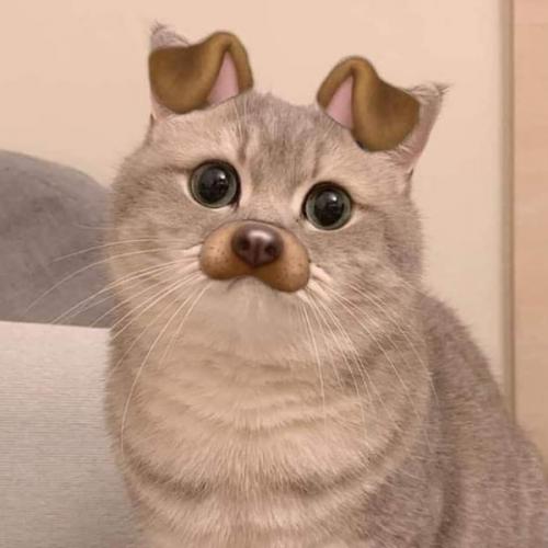 สมาชิกหมายเลข 6454333