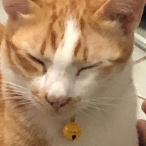 สมาชิกหมายเลข 7948549