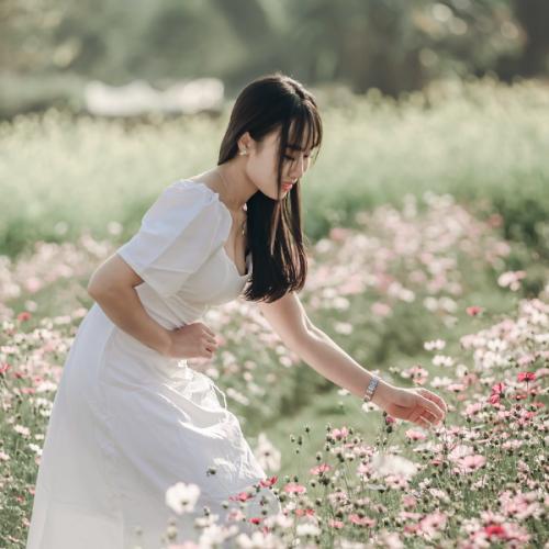 สมาชิกหมายเลข 7949093