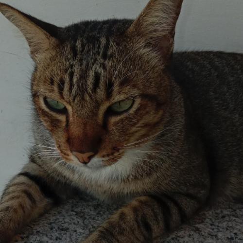 สมาชิกหมายเลข 3373057