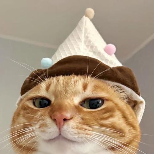 สมาชิกหมายเลข 7776462