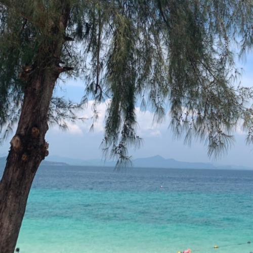 สมาชิกหมายเลข 7873269