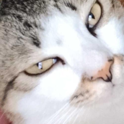 สมาชิกหมายเลข 8974152