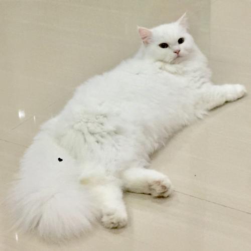 สมาชิกหมายเลข 3756738