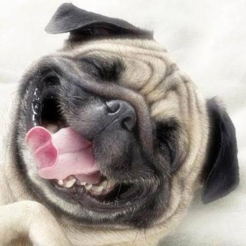 สมาชิกหมายเลข 4893180