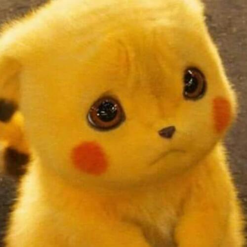 สมาชิกหมายเลข 5220601