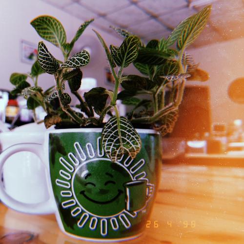 สมาชิกหมายเลข 5365524