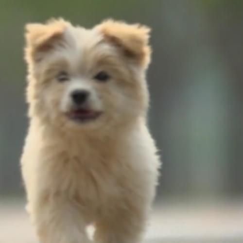 สมาชิกหมายเลข 4461950