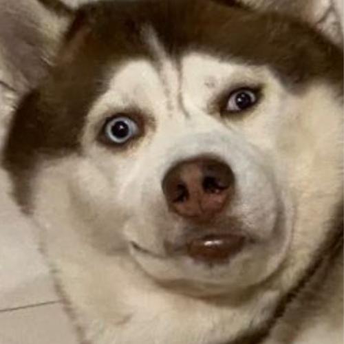 สมาชิกหมายเลข 5853738