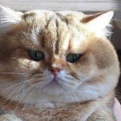 สมาชิกหมายเลข 5853852