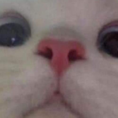 สมาชิกหมายเลข 6455173