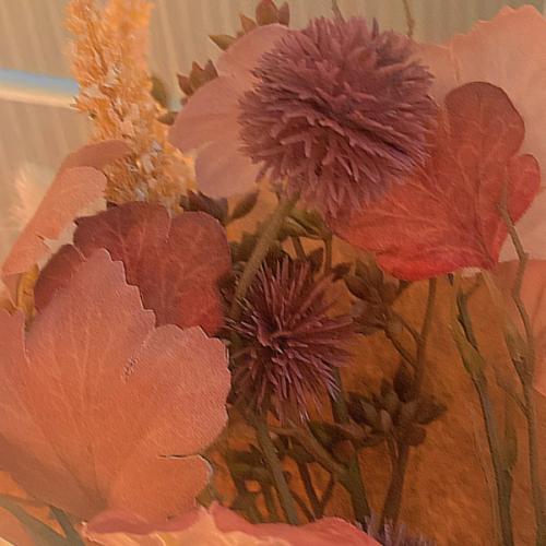 สมาชิกหมายเลข 7950208