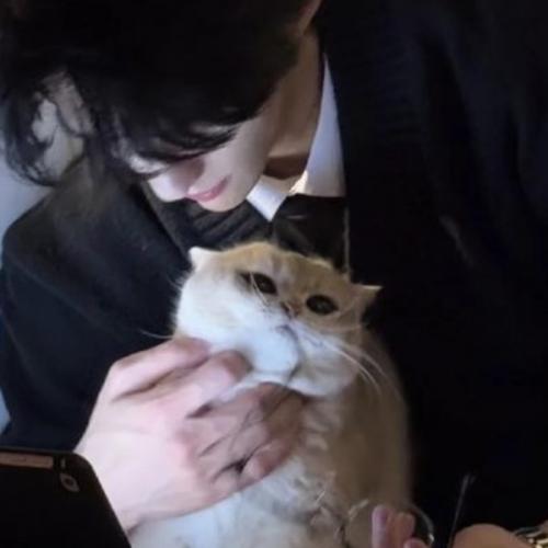 สมาชิกหมายเลข 3693506