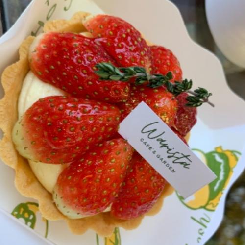 สมาชิกหมายเลข 7362261