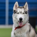 สมาชิกหมายเลข 3759078