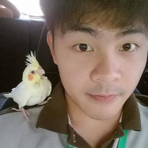 สมาชิกหมายเลข 4615585