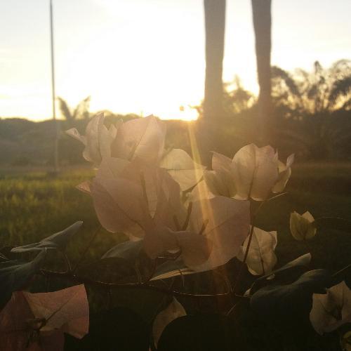 สมาชิกหมายเลข 4920834